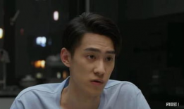 平凡之路电视剧主演,主演阵容揭秘，实力派演员演绎人生百态