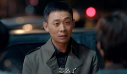 张译 电视剧,电视剧中的情感演绎大师