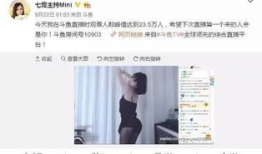 脱衣 91直播间,揭秘网络直播的诱惑与风险