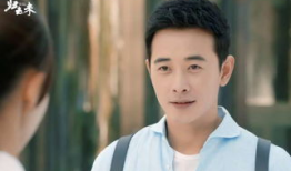 电视剧归去来剧情,青春追梦，情感纠葛，揭秘人生百态