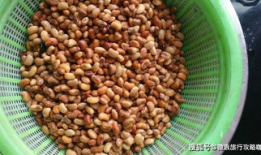 二麻豆,揭秘神秘豆类背后的传奇故事