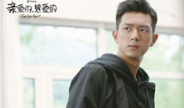 丁心如是什么电视剧,揭开神秘家族的传奇往事