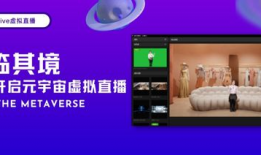 91tv5直播,精彩赛事实时呈现，尽享视听盛宴