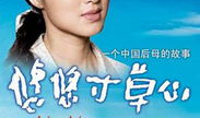 悠悠寸草心 电视剧,温情演绎人间真情