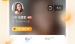 91直播tv软件下载,畅享直播新体验，一键安装轻松观看