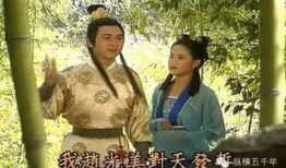 关于宋太宗的电视剧,权谋与仁政的传奇岁月