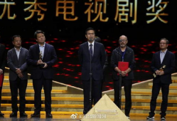 获奖电视剧,年度最佳电视剧获奖作品深度解析