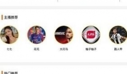 直播平台91还有什么,娱乐与社交的交汇点