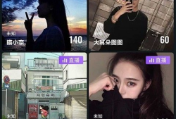 91直播TV手机下载,畅享直播新体验，尽在掌握