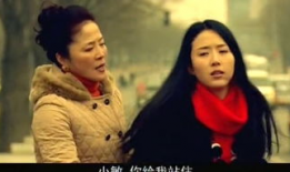 电视剧合集,电视剧合集精彩回顾