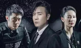 猎毒人电视剧,卧底毒海，正义之战