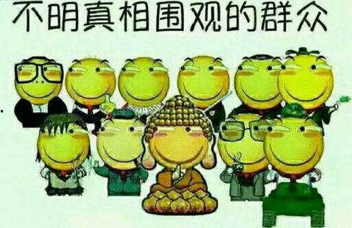 娱乐吃瓜文字游戏,揭秘明星幕后那些事儿