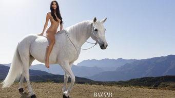 马麻豆,探寻神秘东方文化的瑰宝